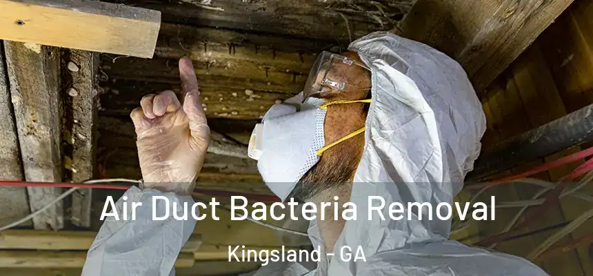  Air Duct Bacteria Removal Kingsland - GA