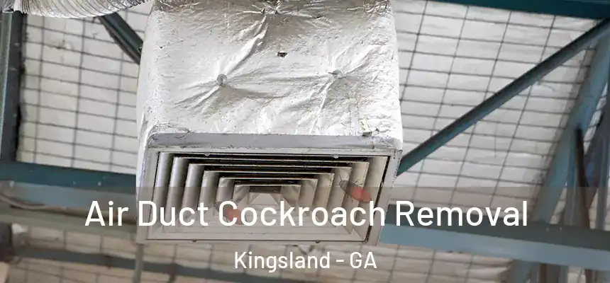  Air Duct Cockroach Removal Kingsland - GA