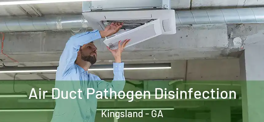  Air Duct Pathogen Disinfection Kingsland - GA