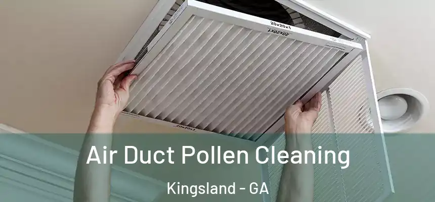  Air Duct Pollen Cleaning Kingsland - GA