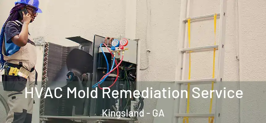  HVAC Mold Remediation Service Kingsland - GA