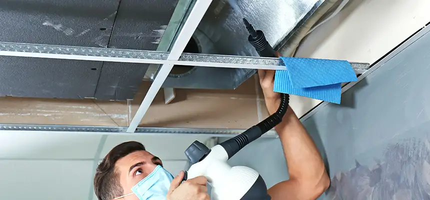 Our Air Duct Rodent Removal Services in Kingsland, GA