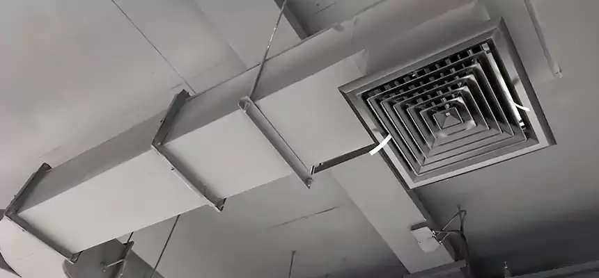 Restorative Allergy Relief Vent Cleaning – Coil, Blower & Housing Detail in Kingsland