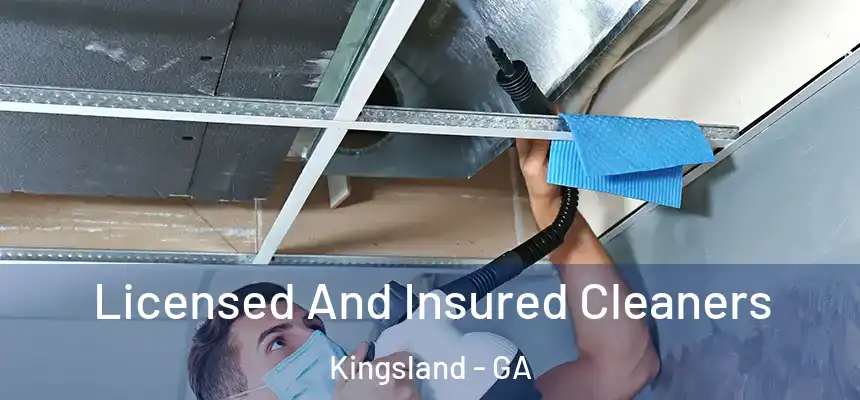  Licensed And Insured Cleaners Kingsland - GA