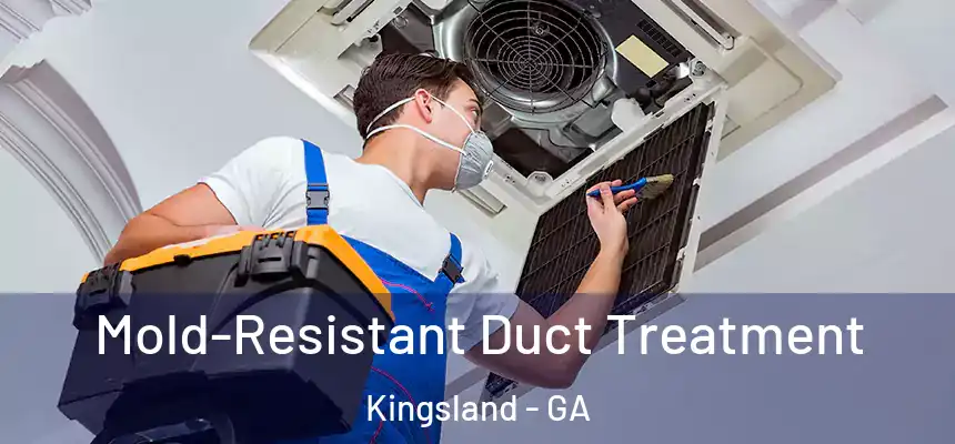  Mold-Resistant Duct Treatment Kingsland - GA