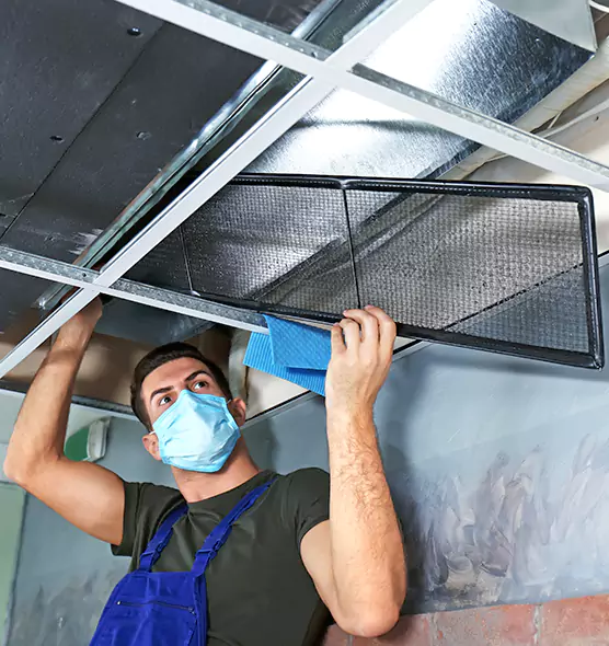About Air Duct Bacteria Removal in Kingsland