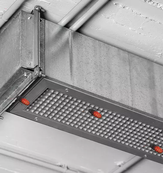 About Air Duct Cockroach Removal in Kingsland, GA