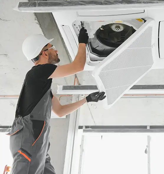 About Air Duct Rodent Removal in Kingsland, GA