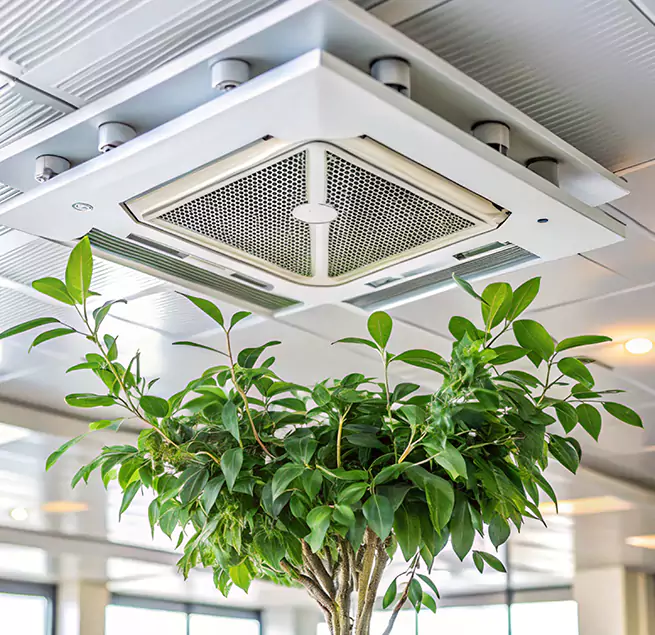 Why Homeowners & Businesses Trust Us in Kingsland, GA