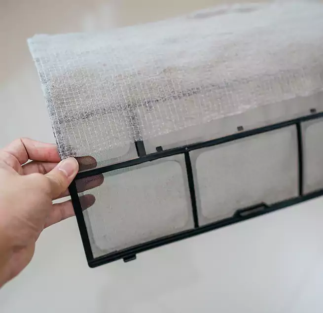 Why Homeowners & Businesses Trust Us in Kingsland, GA?