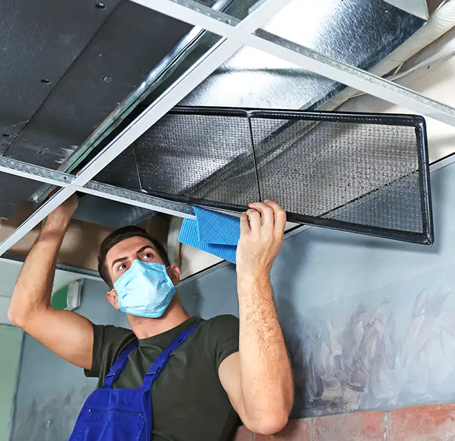 Why Homeowners & Businesses Trust Us in Kingsland, GA?