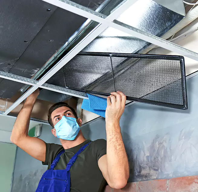  Why Homeowners Businesses Trust Us  in Kingsland, GA?